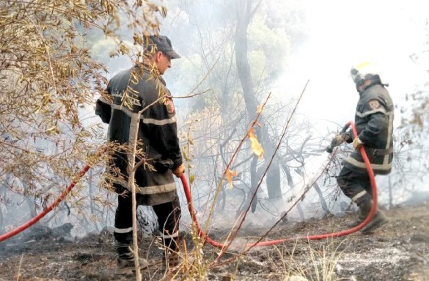 Saision estivale : La Protection civile déploie un plan proactif