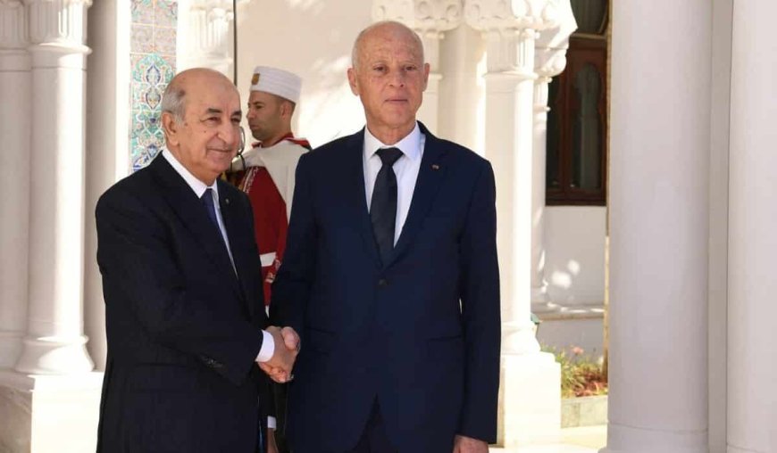 Algérie – Tunisie / un expert tunisien explique comment Ankara œuvre empoisonner les relations entre les deux pays