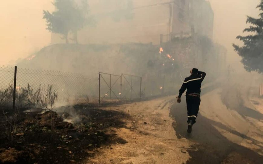 Incendies / extinction de 43 feux de forêts dans 20 wilayas