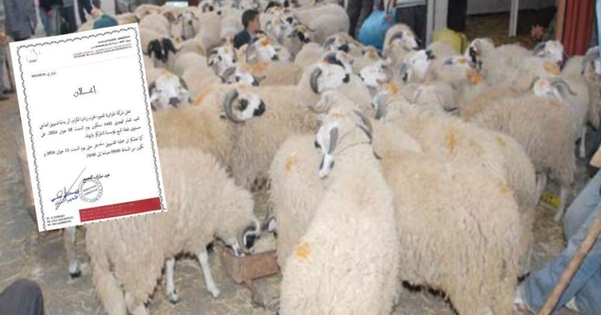 Alger : ALVIAR lance la vente des moutons de l’Aïd Al-Adha à partir de cette date