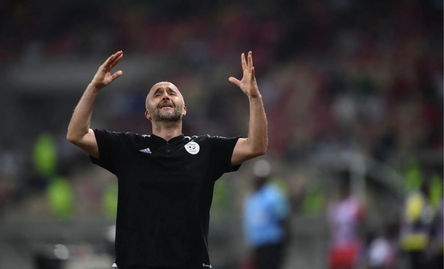 La Saga de Djamel Belmadi : Entre Rumeurs, Bras de Fer et Zidane en Toile de Fond