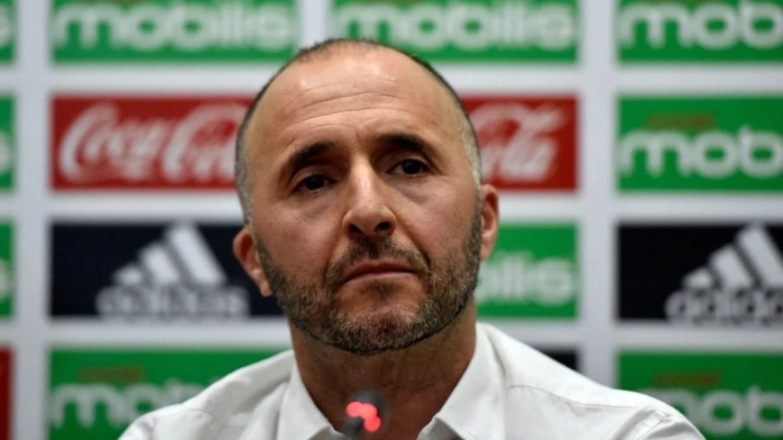 Djamel Belmadi : La Fin d’une Ère Glorieuse, les Fennecs en Pleine Chute