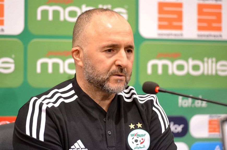 À la recherche du nouveau maître des Verts : La commission des sept en quête du successeur de Belmadi