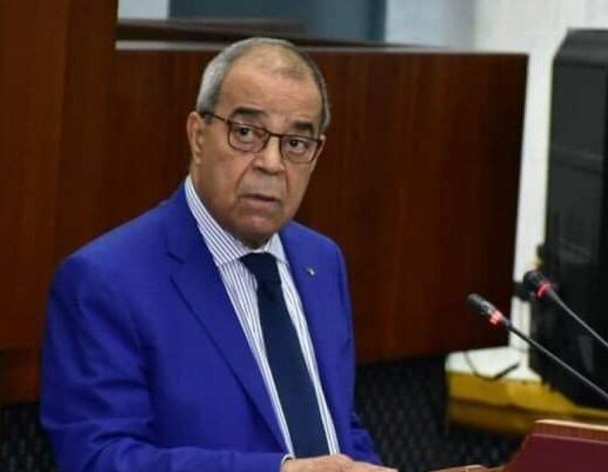 Ali Aoun : «Celui qui veut acheter une voiture n’a qu’à l’importer lui-même»