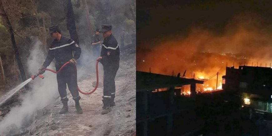 Feux de forêts en Algérie : plusieurs wilayas touchées par les incendies