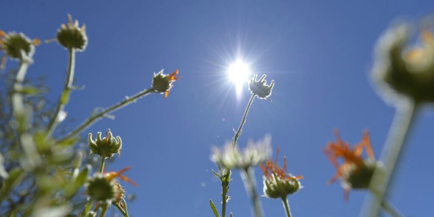 Après la récente vague de chaleur, quelle météo faut-il prévoir en Algérie ce 9 juin ?