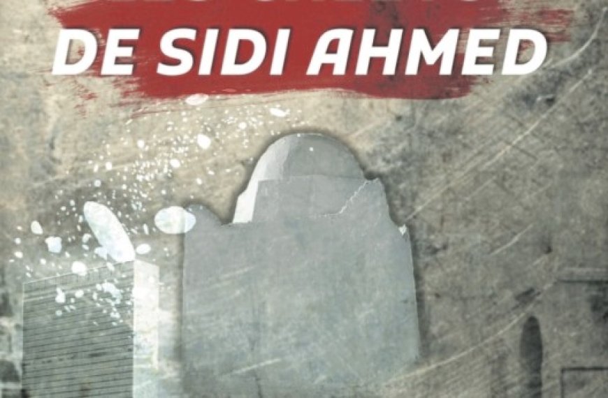 Les galets de Sidi Ahmed de Aziz Mouats : Un livre, des faits… la matrice de l’histoire