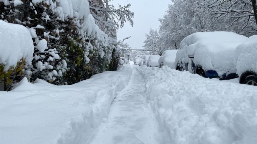 Chaos en Allemagne : Neige, Vols Suspendus, et un Trafic Ferroviaire Perturbé