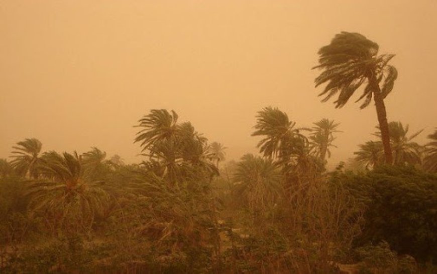 Températures record dans le sud, des orages sur l’est