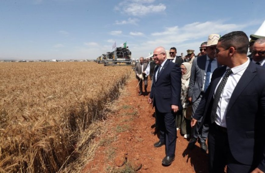 Le secteur agricole en crise à Bouira : La DSA ignore les doléances des agriculteurs