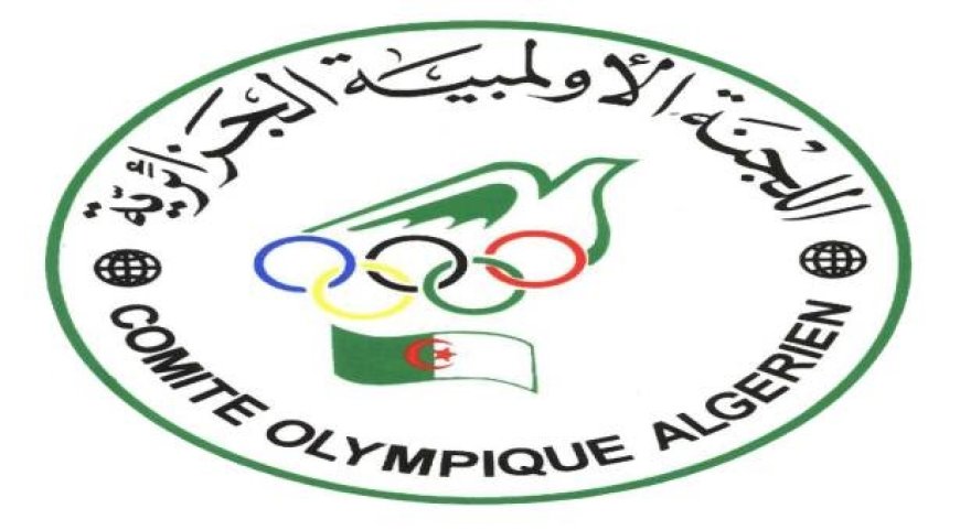 Ces fédérations algériennes absentes des jeux olympiques depuis plus de 16 ans