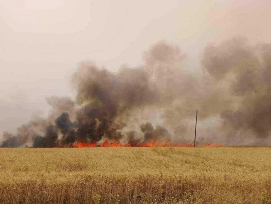 Des incendies de récoltes se déclenchent simultanément dans plusieurs wilayas