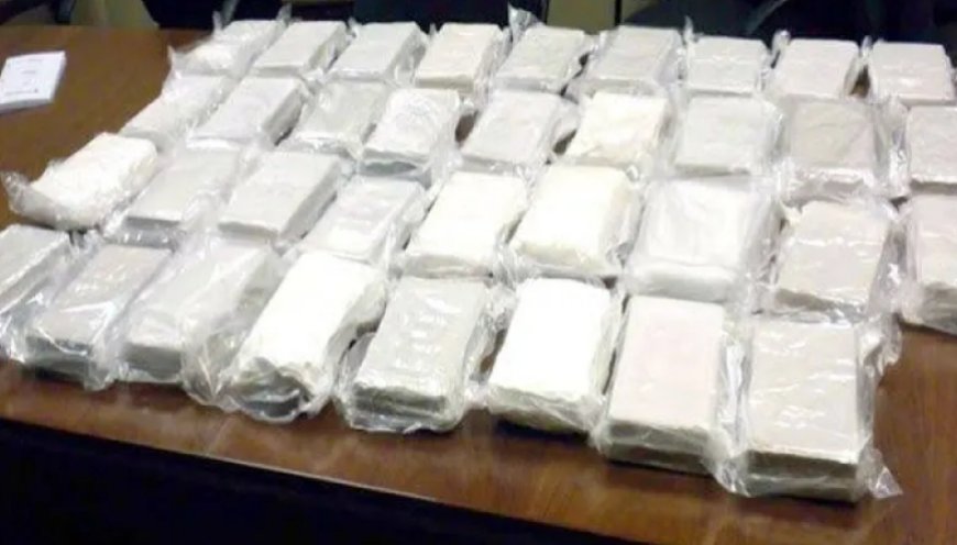 Blida : 59 kg de cocaïne saisis