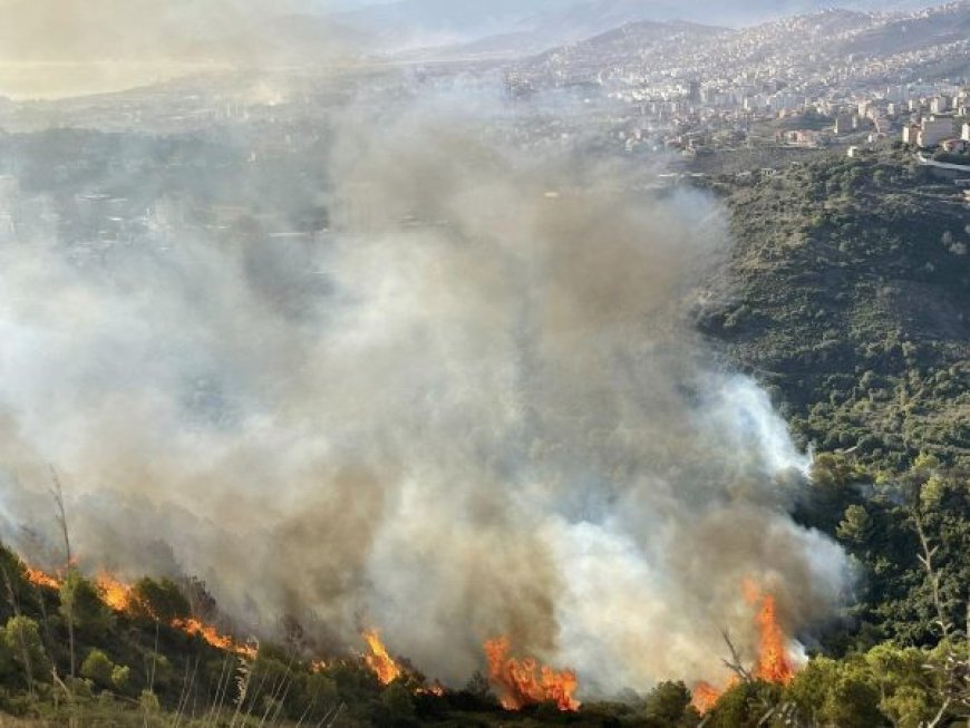 Réunion de la Fédération des chasseurs à Blida : La préservation des richesses forestières en question