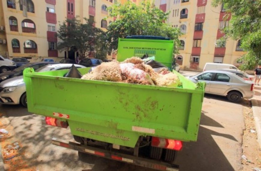 De la tradition à l’innovation : Repenser la gestion des peaux de moutons en Algérie