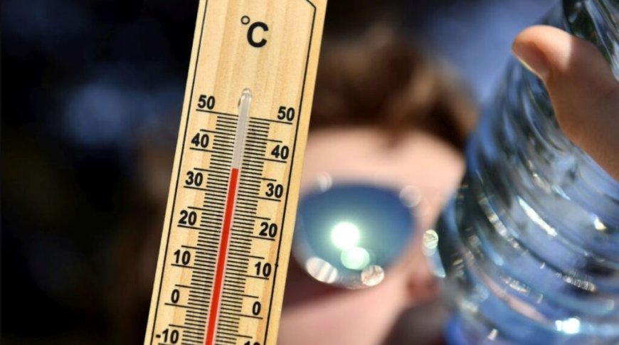 BMS – Météo Algérie : le mercure dépassera les 49 °C dans ces régions ce lundi 24 juin !