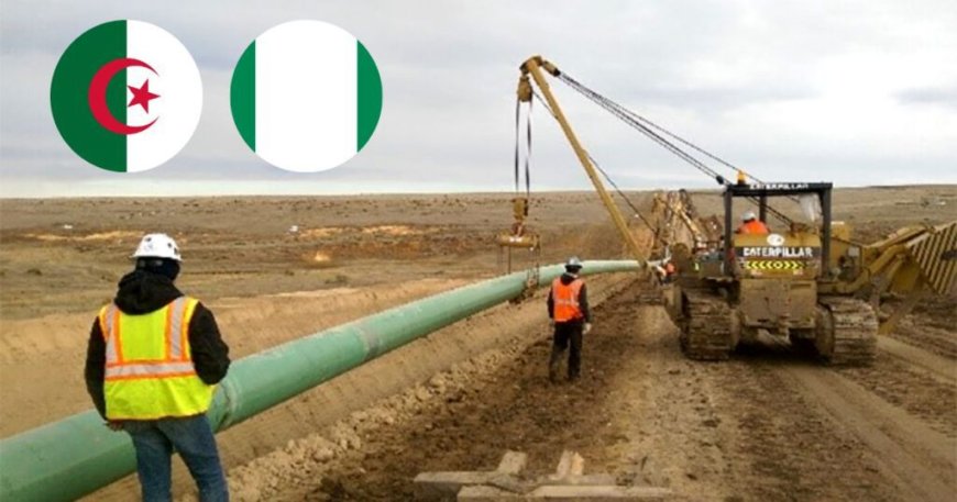 Gazoduc Algérie-Nigeria : Le pipeline NIGAL sur la voie rapide du succès