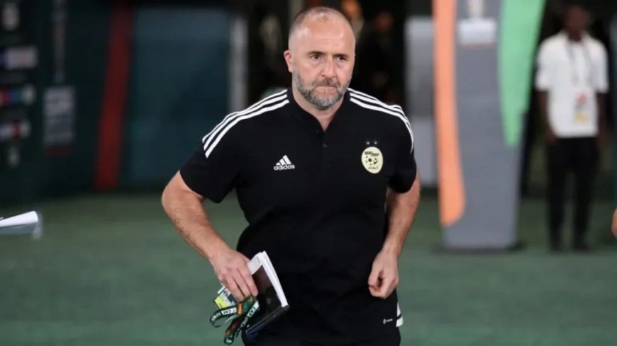 Belmadi en négociations avec un cador qatari