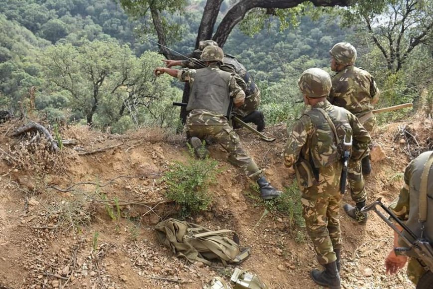 Un terroriste abattu et 3 éléments de soutien aux groupes terroristes arrêtés