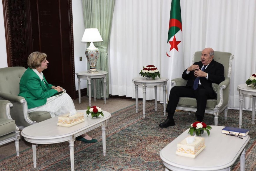 Abdelmadjid Tebboune reçoit Elizabeth Moore : « Les USA et l’Algérie veulent la fin du conflit à Gaza et un Etat sûr pour les Palestiniens »