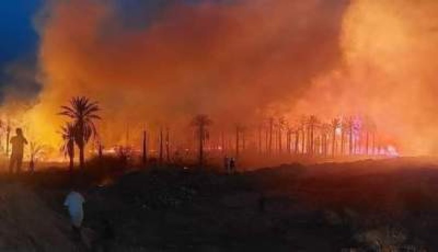 Incendies en Algérie : les feux de déclare