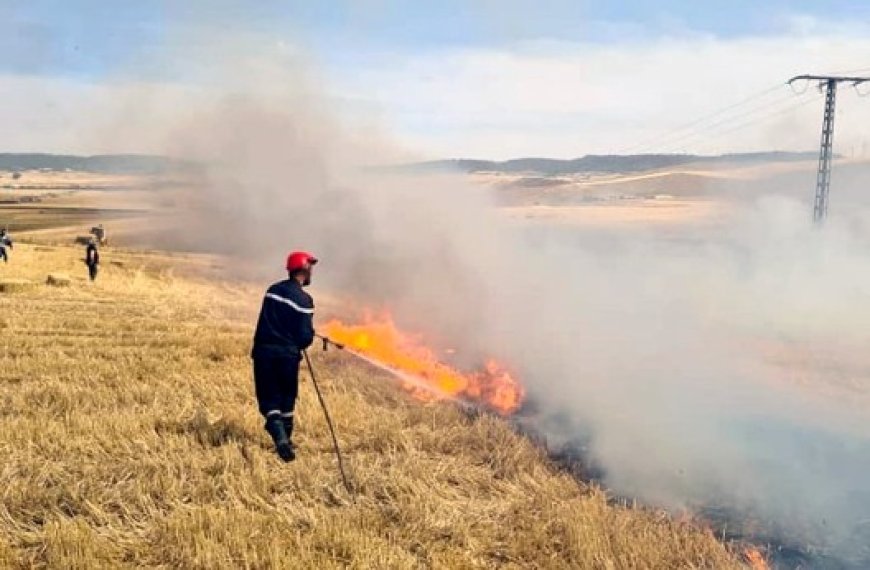 Feux de récolte : Près de 200 ha de pertes