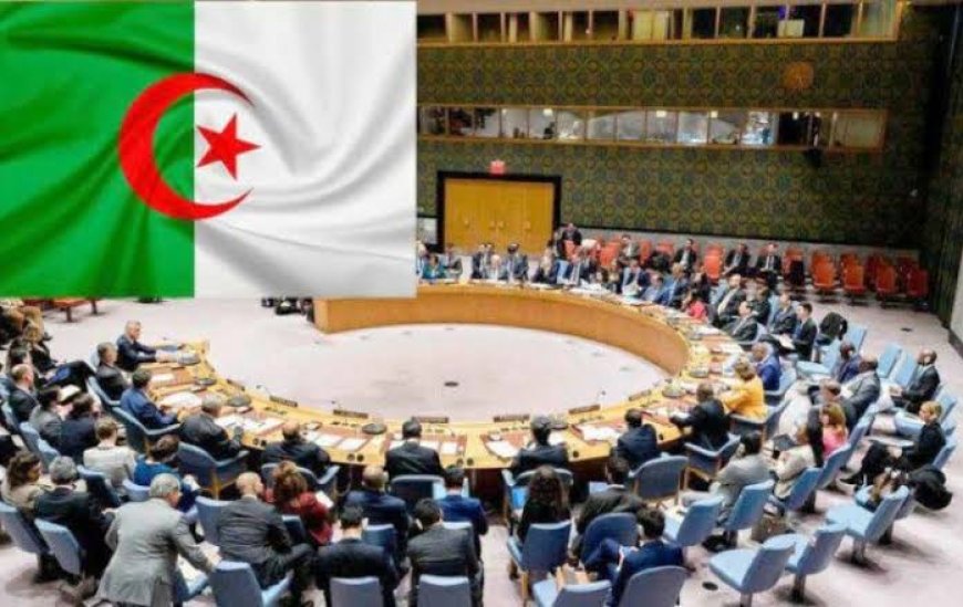 À l’ONU, l’Algérie obtient un consensus sur sa Déclaration présidentielle sur les personnes disparues