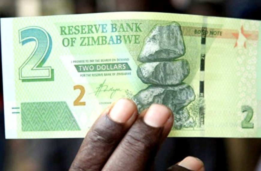 Le FMI applaudit la nouvelle politique financière du Zimbabwe : «La nouvelle monnaie met fin à l’instabilité économique»