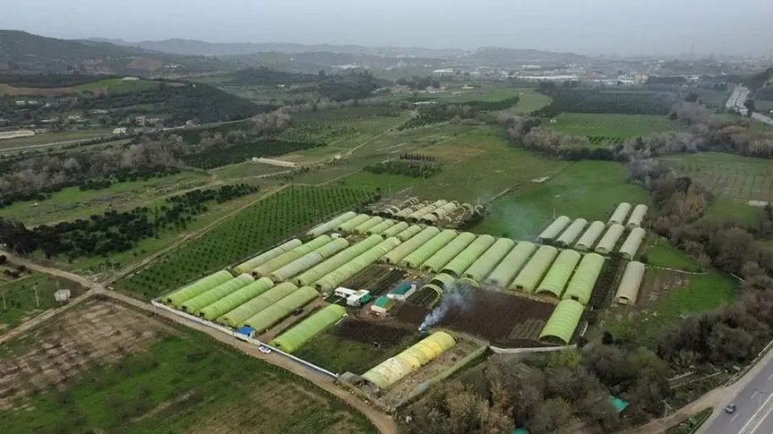 Recensement général de l’agriculture : l’opération a atteint un taux d’avancement de 68%