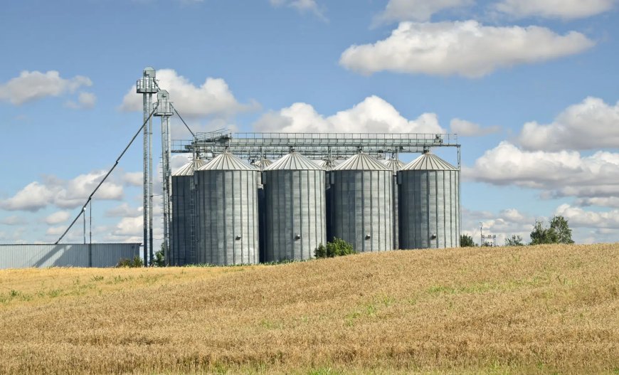 Agriculture : vers la création de 30 silos de stockage de céréales.