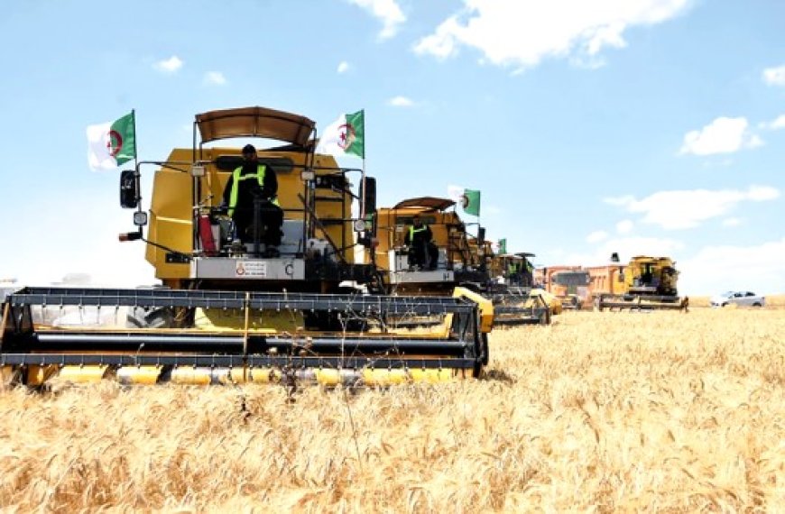 Secteur de l’agriculture : Les objectifs prioritaires de l’Algérie