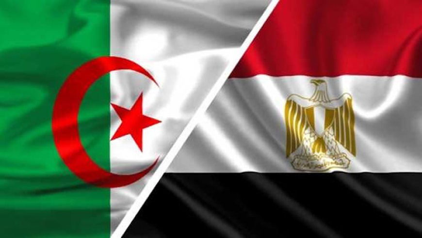 Le volume des investissements égyptiens en Algérie s’élève à près de 3 milliards $