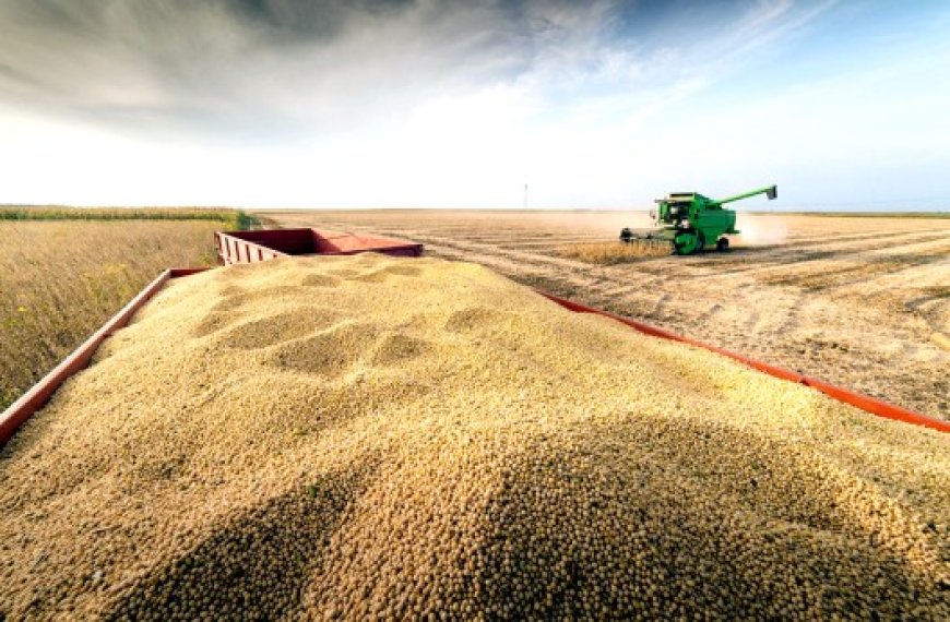 L’accord a été conclu hier avec l’italien Bonifiche Ferraresi : 420 millions de dollars pour la production de céréales et de légumineuses à Timimoun