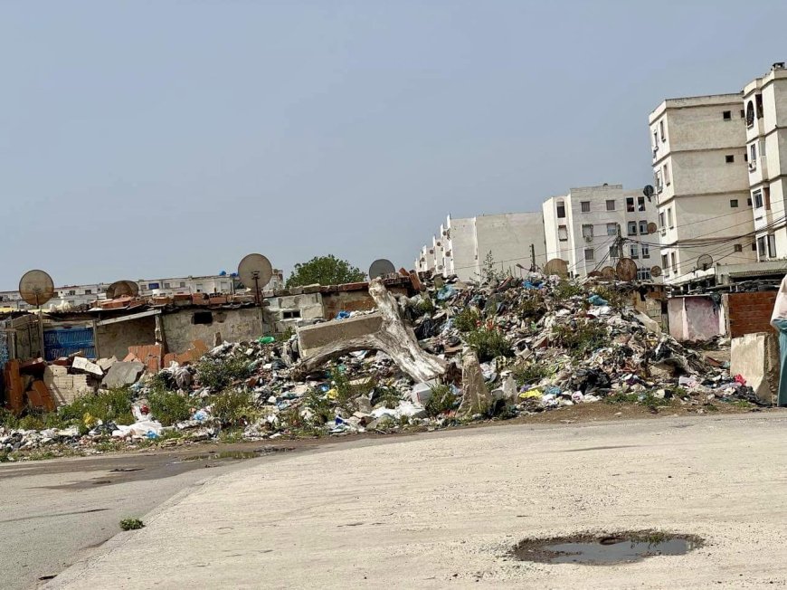 Annaba : Sidi Salem  : Mal vie, pollution et trafics en tous genres