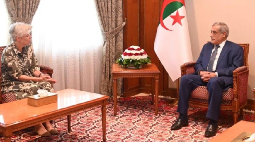 Le Premier ministre reçoit l’ambassadrice des Pays-Bas à Alger