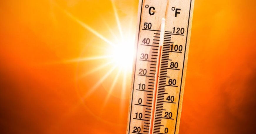 BMS – Chaleurs extrêmes en Algérie : la température dépassera les 50 °C ce 10 juillet !