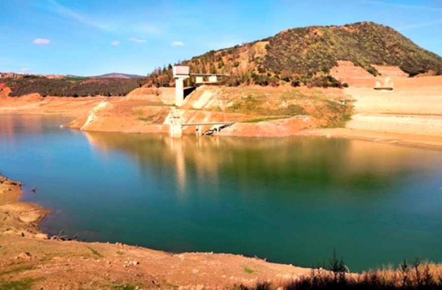 Aquaculture et pêche continentale au pôle Halieutique de Guelma : La création d’une filière est nécessaire