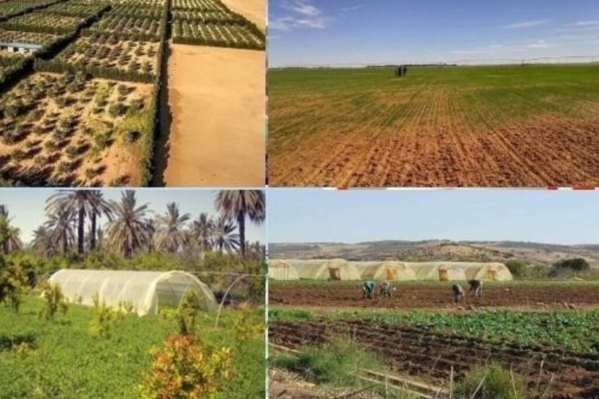 L’ONTA : Ouverture des inscriptions pour la récupération des terres agricoles dès demain