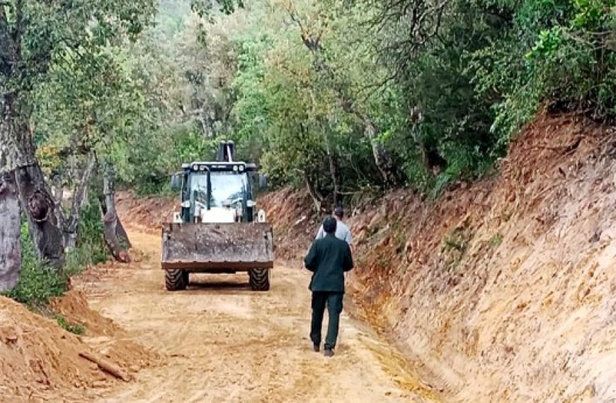 Médéa : Ouverture de 70 km de pistes forestières