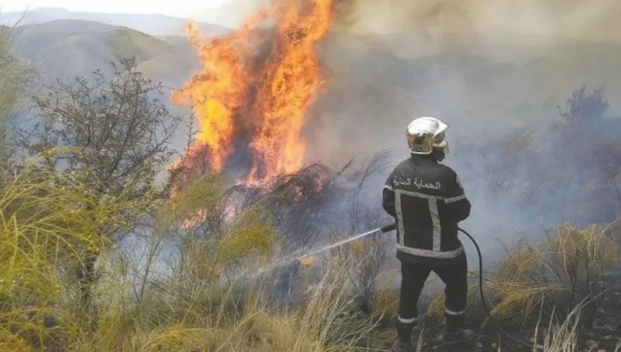 Incendies à Constantine : Les feux maîtrisés