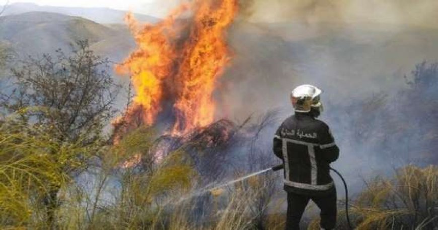 Feux de forêt : la Protection civile expose son plan de lutte pour l’été