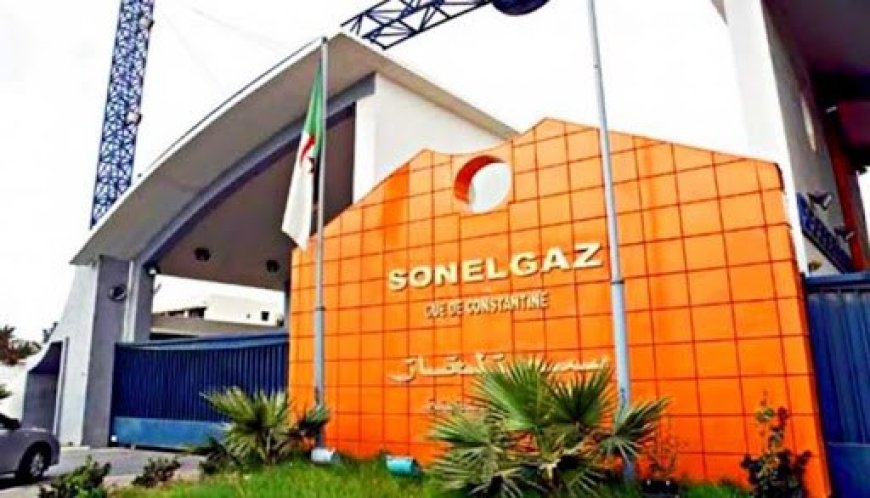 Sonelgaz: Adjal examine les moyens du renforcement  de la coopération avec le président de la Cedeao