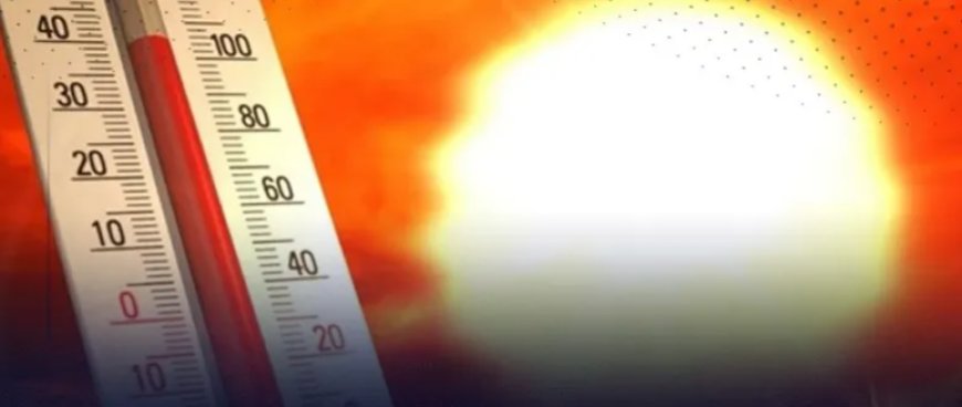 Météo : jusqu’à 50° dans le Grand Sud, la canicule impose son ton