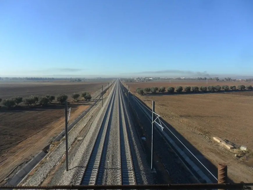 La valeur à assurer des projets dans le ferroviaire dépasse les 400 milliards DA (UAR)