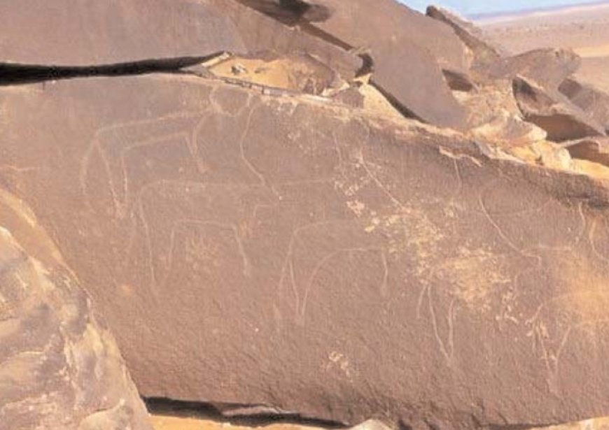 Béchar : La station de gravures rupestres d’«El Hajra» de Taghit classée au patrimoine culturel matériel national