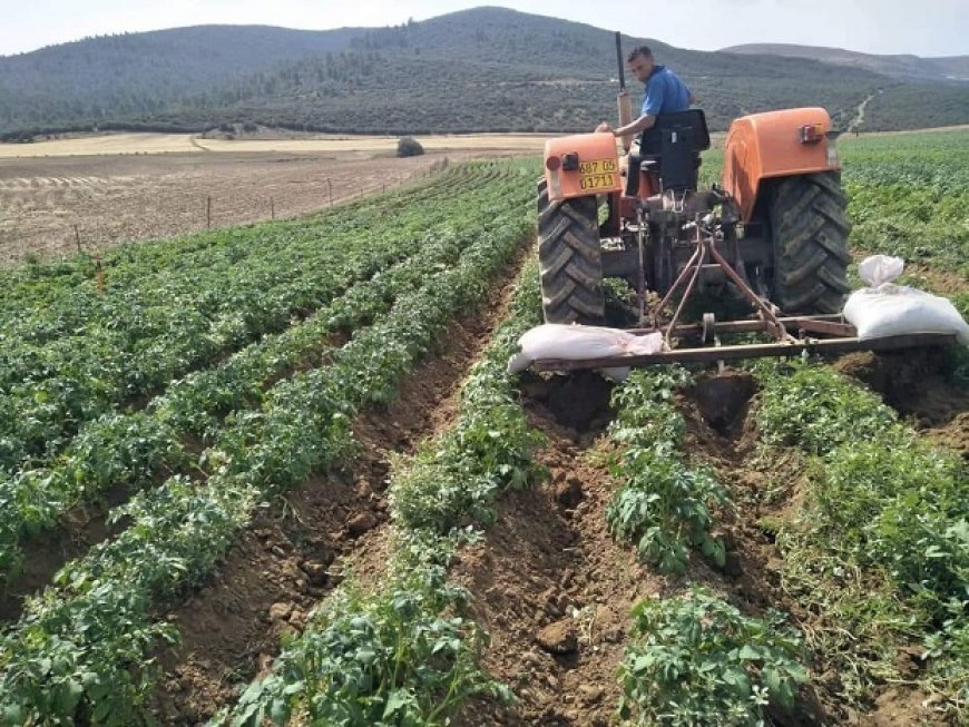 Recensement général de l’agriculture : Plus de 93 % des exploitations agricoles recensées