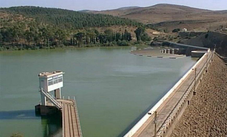 Barrage Ouljet Mellegue : Le directeur et le chauffeur du barrage périssent par étouffement