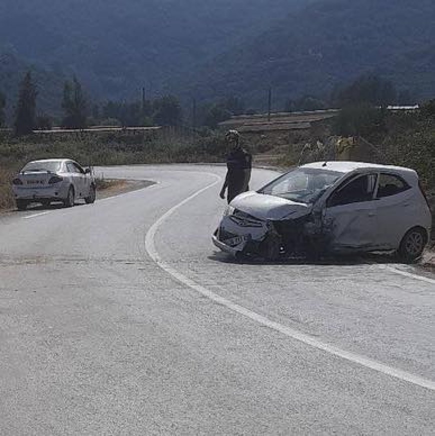 Voiture contre camion : Huit blessés graves à El Ancer