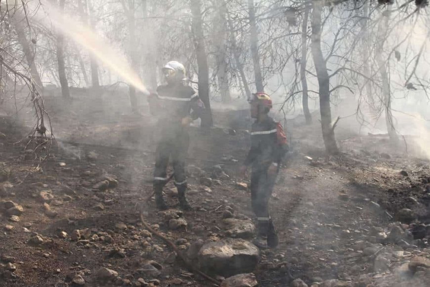 Feux de forêts : les opérations d’extinction se poursuivent