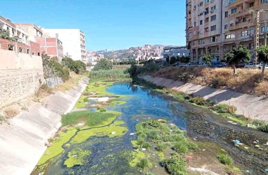 Commune de Béjaïa : Pollution au cœur de la ville